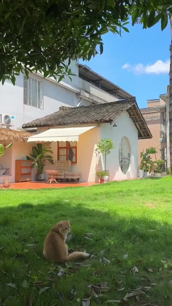 kakkakaakakakakhđhdhdhd - ảnh 2