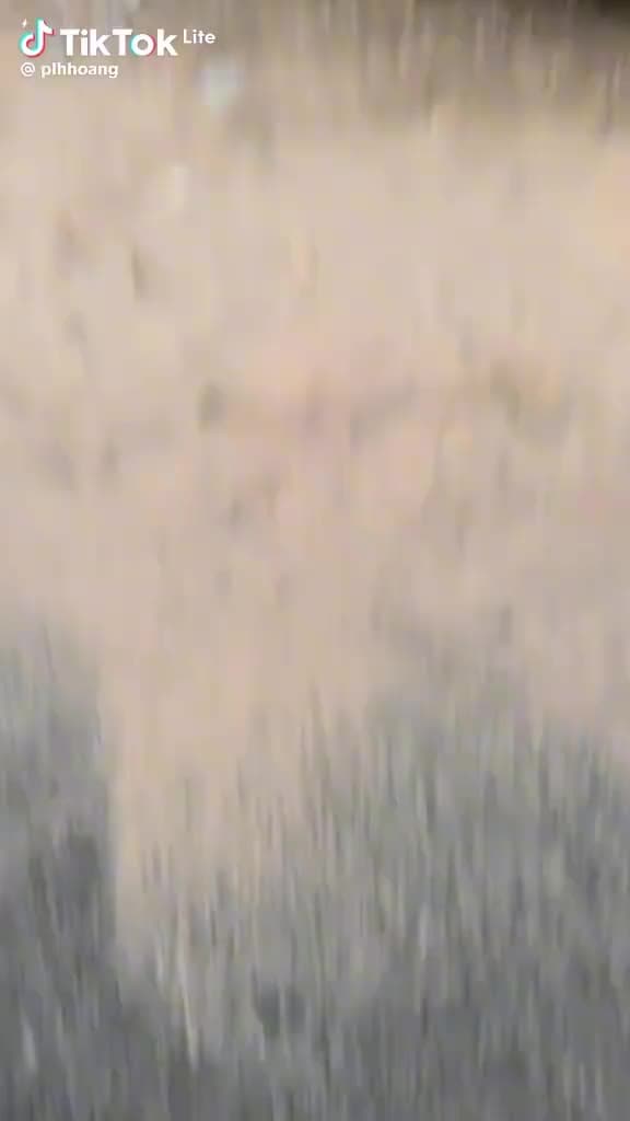 Fidyiyi ê err - ảnh 2